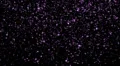 Twinkle Stars LM01 Loop Purple HD Footage