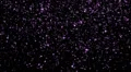 Twinkle Stars LM05 Loop Purple HD Footage