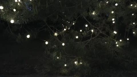 Twinkling lights adorn the trees, casting a warm glow Stock Footage 317394855