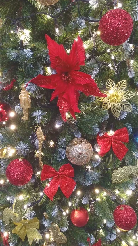Twinkling Lights on the Christmas Tree Stock Footage 296187877