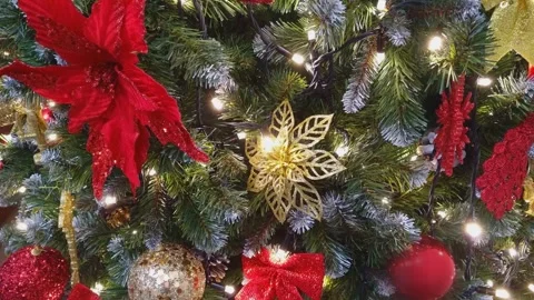 Twinkling Lights on the Christmas Tree Stock Footage 296494556