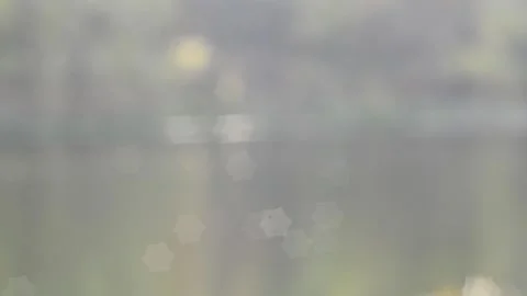 Twinkling lights Stock Footage 142151187