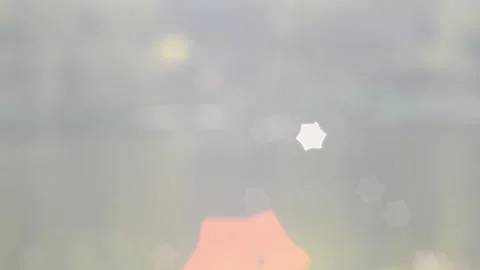 Twinkling lights Stock Footage 142151510