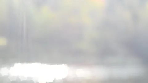 Twinkling lights Stock Footage 142151715