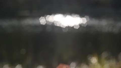 Twinkling lights Stock Footage 142151944