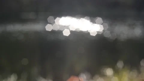 Twinkling lights Stock Footage 142152015