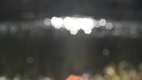 Twinkling lights Stock Footage 142152213