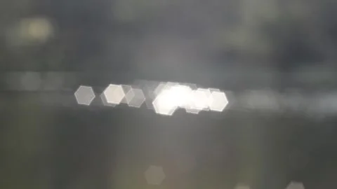 Twinkling lights Stock Footage 142152662