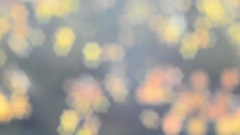 Twinkling lights Stock Footage 142153065