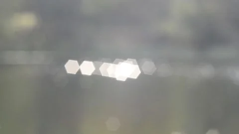 Twinkling lights Stock Footage 142153140