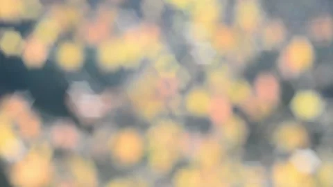 Twinkling lights Stock Footage 142153641