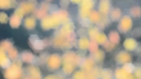 Twinkling lights Stock Footage 142154003