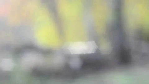 Twinkling lights Video stock 142154385