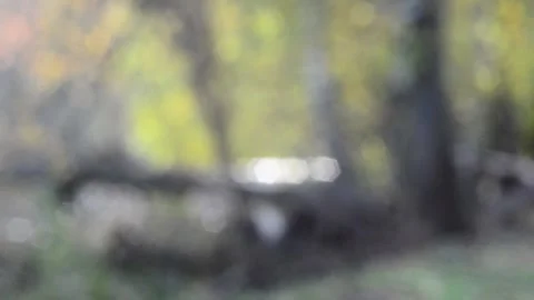 Twinkling lights Stock Footage 142154984