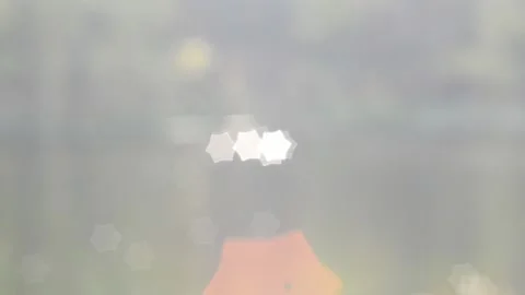 Twinkling lights Stock Footage 142155725