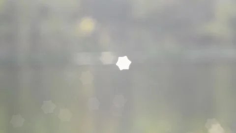 Twinkling lights Stock Footage 142156410