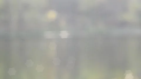 Twinkling lights Stock Footage 142156549