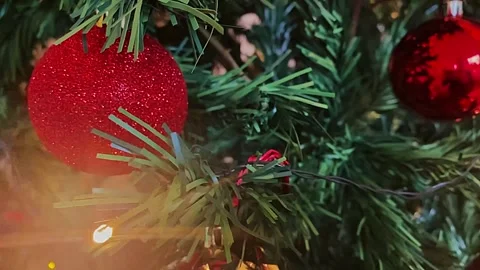 Twinkling strands on branches glow, casting warmth on the world below Stock Footage 293782843