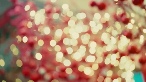 Twinkling String Lights In A Christmas Tree During Holidays. Defocus Shot Stock Footage 294473643