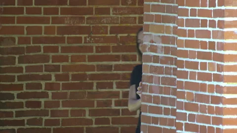 Twins Video stock 97392212