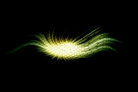 Twirl motion of bright explosion flash on black backgrounds Stock Photos
