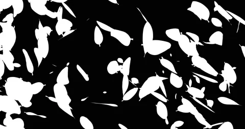 Twirl motion of leaves. Stock Footage 165076440