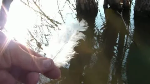 Twirling Feather in Sunlight 스톡 동영상 12621047