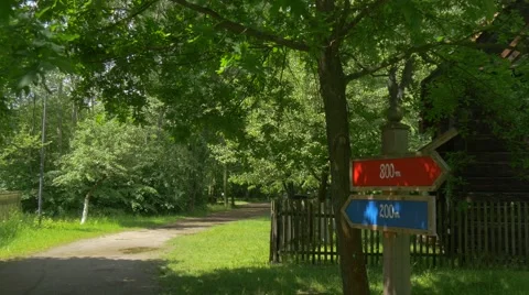 A Twist of the Path in the Park With a Pointer Stock Footage 63975933