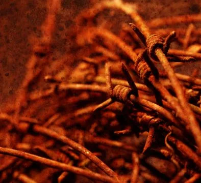 Twisted barb wire Stockfoto's