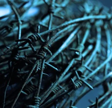 Twisted barb wire Stock Photos