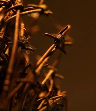 Twisted barb wire Stock Photos