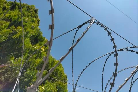 Twisted barbed wire against the background of tree crowns and a blue clear .. Stock Photos