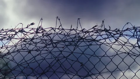 Twisted Barbed Wire Against Dramatic Storm Clouds Stock Footage 308227162