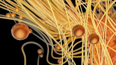 Twisted cosmic lines or strings in the black space. Beautiful swirls, bright Stock Illustration