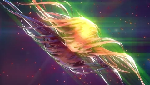 Twisted Form's  Spaces  Animated Movings Motions Backgrounds 스톡 동영상 261004387