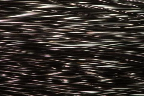 Twisted Stock Photos