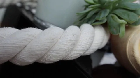 Twisted retro rope texture, green succulent plants and big spiral seashell on bl Vídeo Stock 72652334