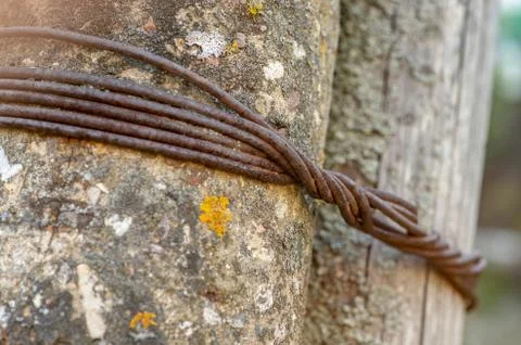 Twisted rusty wire Stock Photos
