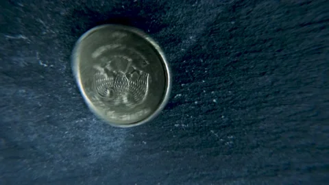 Twisted the side of the eagle 動画素材 180566728