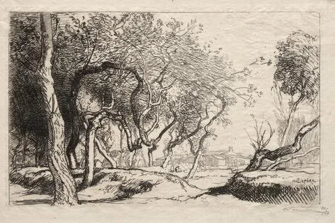 The Twisted Tree, 1915. Auguste Louis Lepre (French, 1849-1918). Etching; Stock Illustration