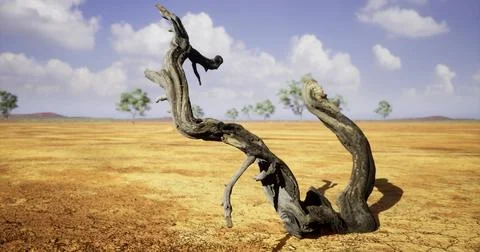 Twisted tree branch in arid landscape under a blue sky with clouds Illustrazione stock