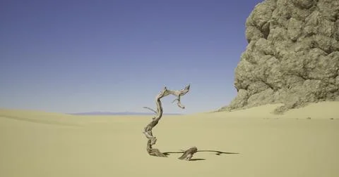 Twisted tree trunk in desert landscape under clear blue sky Stock Illustration