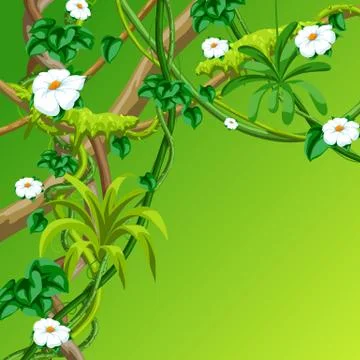 Twisted wild lianas branches background. Jungle vines plants. Stock Illustration