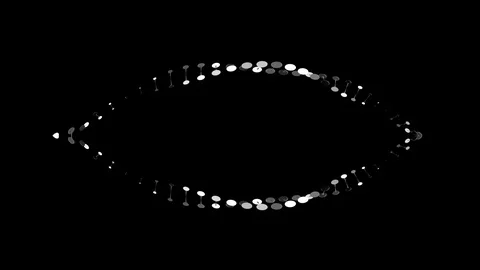 Twisting abstract DNA shaped form mirror horizontally Stock Footage 105291678