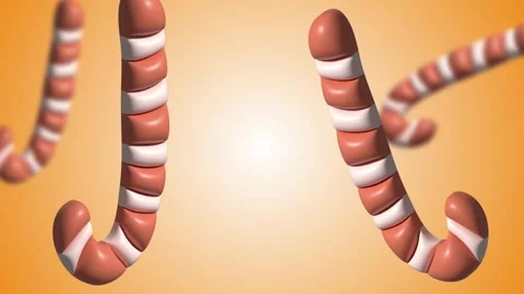 Twisting candy canes on orange glowing Christmas background Stock Footage 320916225