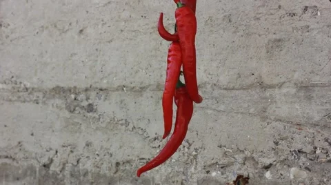 Twisting Chilli Peppers Stock Footage 41762580
