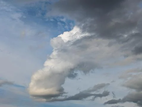 Twisting Cumulus Updraft Overhead Stock-Fotos