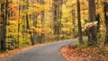 twisting curvy single lane forest road Great Smoky Mtns 4k or 4k+ Resolution