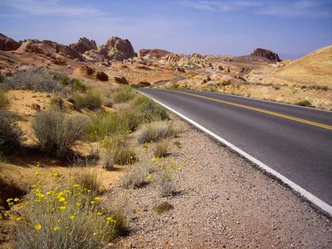 Twisting desert road Stock Photos