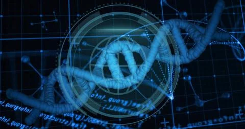 Twisting DNA double helix floating in lab interface, with grid lines, HUD rin Illustrazione stock